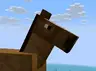 HorseInfo