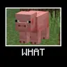 WHAT (Spyglass meme)