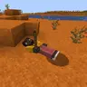Taking a Break