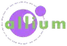 Allium