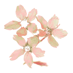Sakura Lib