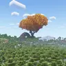 Giant Yellow Tree