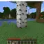 Tree Felling