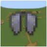 Dynamic Elytra FOV
