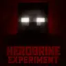 Herobrine Experiment