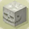 Bone Blocks