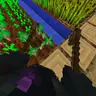 First Person View