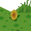 Cancel Block Update