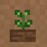 Replant+