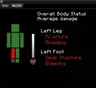 Zomboid Health System