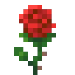 Fresh flowers