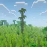 Giant Bamboo