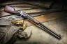 cool guns western