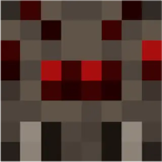 Spider Infection