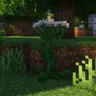 More Plants