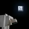 Wolf Howling