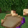 Sandwich Mod
