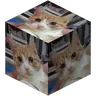Wlodzimiers Blocks