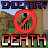 Enderman Death Silence