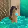 PingCC