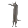 Flat Cats