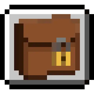 Secure Pouch