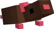 Rats and Traps