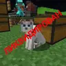 ImmortalCats