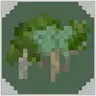 Silverwood Trees