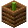 Compostable Bamboo