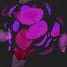 PurplePing