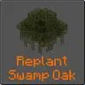 Replant Swamp Oak