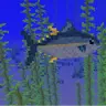 bigfish: ripple