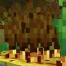 Plantable Golden Carrot