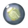 Pelican Origins