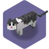 Catify