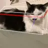 MadCat's Hitboxes