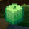 The Wax gourd