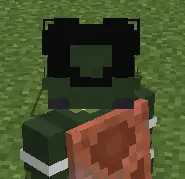 Skinss+