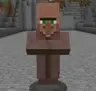 Villages Plus