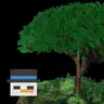 Fractal Forests
