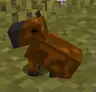 Wither's Capybara Mod