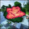Lily Pads Expansion