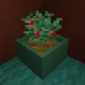 Botany Pots Depot