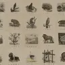 Vintage Animal Paintings Pack