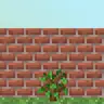 Walled Garden