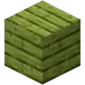 Cactus Wood