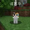 Entity Chinese Name
