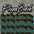 PlayerBatch
