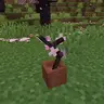 Cherry Blossom Branch